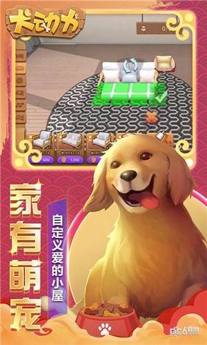 犬动力训犬大师