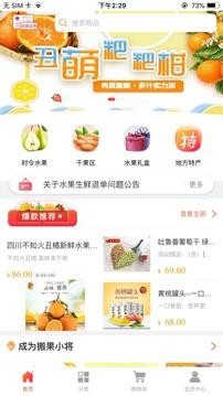 搬果将