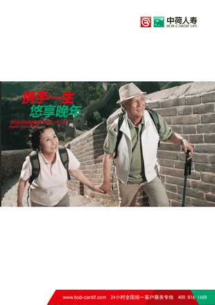 中荷人寿保险