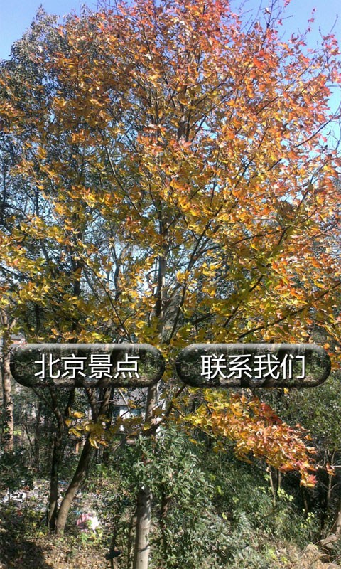 北京旅游景点大全