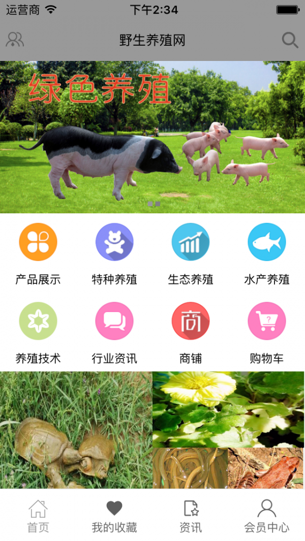 野生养殖网