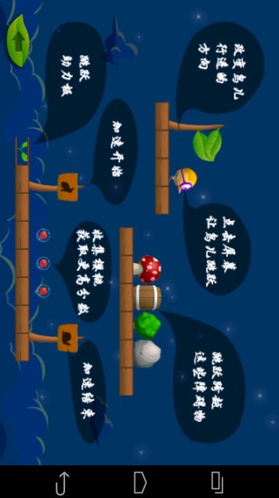 奔跑吧小鸟