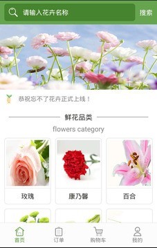 忘不了花卉