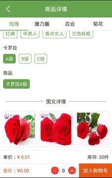 忘不了花卉