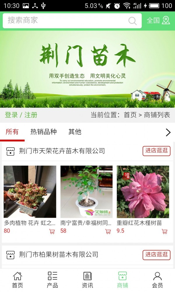 荆门苗木