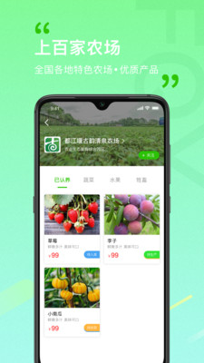 风清养
