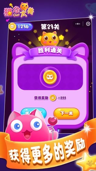 猫你太美