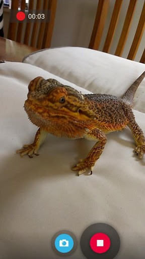 快照相机