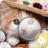 可爱猫找茬
