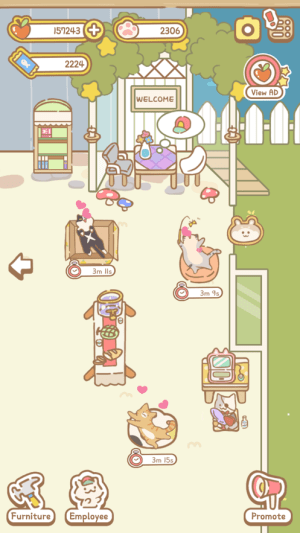 猫猫水疗