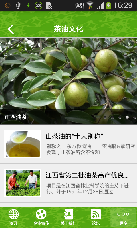 江西油茶网