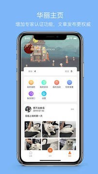 大派宠物