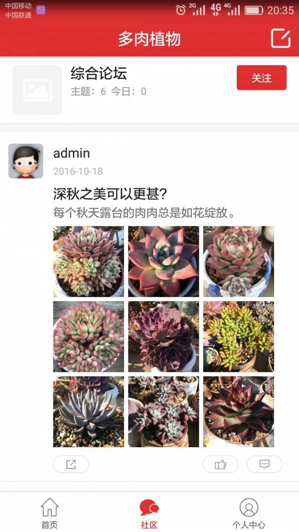肉肉植物