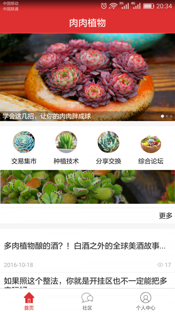 肉肉植物
