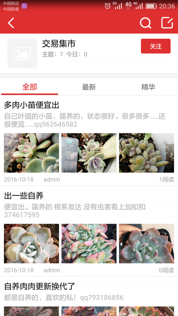 肉肉植物