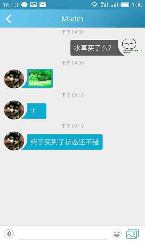 水族汇