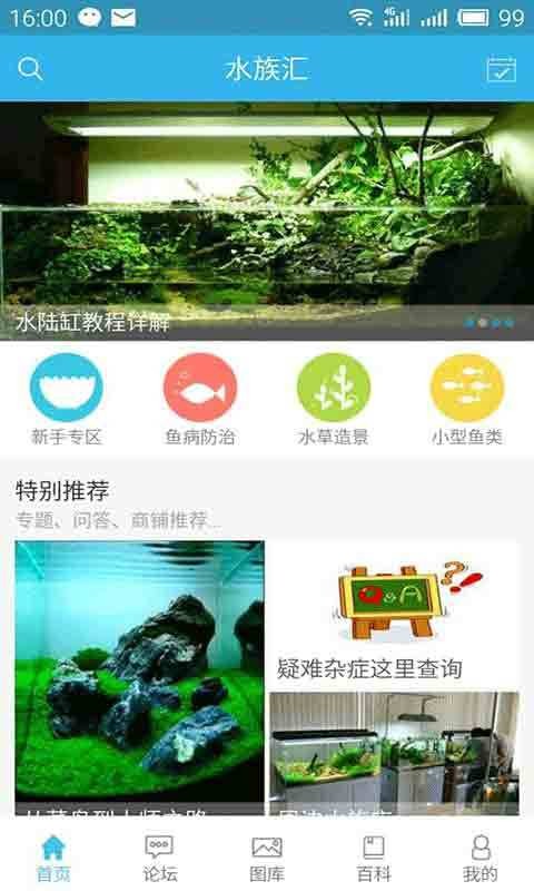 水族汇