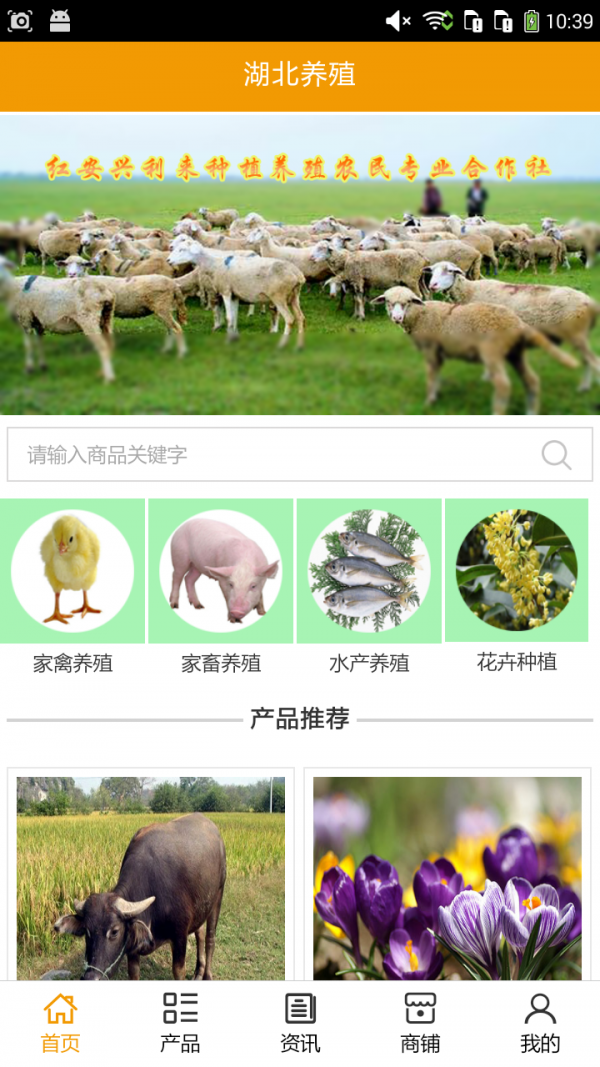 湖北养殖
