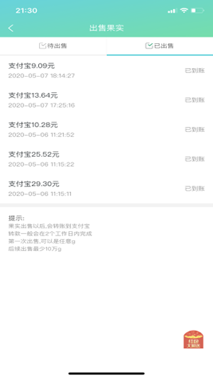 种果果