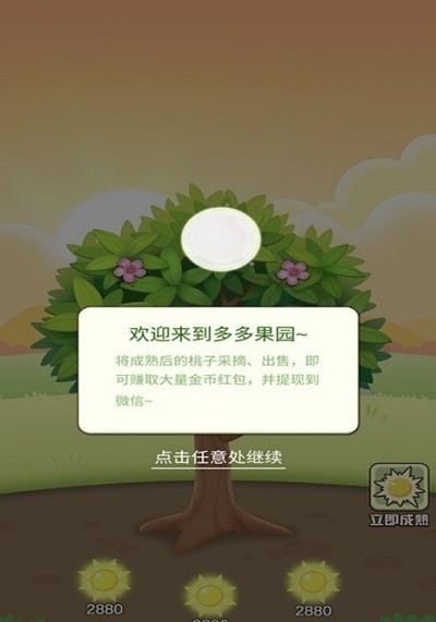 快乐水果