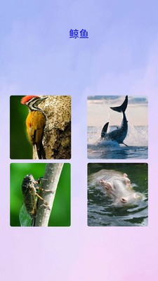 快乐宝宝认动物