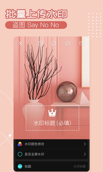 水印相机ali