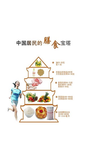 掌上饮食
